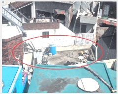  2024Ÿ��56650  �������