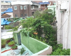  2024Ÿ57899 λ λ ξϵ 371-1       ()