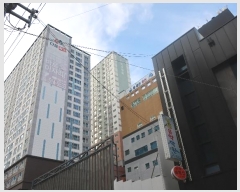  2024Ÿ65098 λ  ߾Ӵ1901 53, 161606ȣ (,¼ĳ)     Ʈ