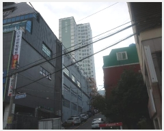  2024Ÿ65098 λ  ߾Ӵ1901 53, 161606ȣ (,¼ĳ)     Ʈ