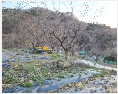  2024Ÿ��66466 �λ� ������ �ݼ��� 218       ����(��)���