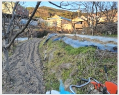  2024Ÿ��66466 �λ� ������ �ݼ��� 218       ����(��)���