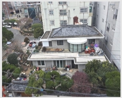  2024Ÿ��67100 �λ� ������ ��õ�� 394-7       ���ð��