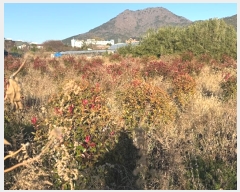  2024Ÿ6129 λ  α 728-2       ()