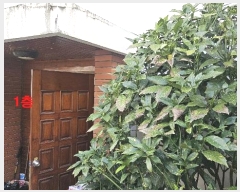  2024Ÿ63320 λ  õ 306-45       ð