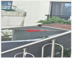  2024Ÿ63320 λ  õ 306-45       ð