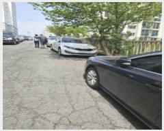  2024Ÿ1964 λ   46-5       ()