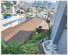  2024Ÿ3601 λ  ʷ 859-48       ()