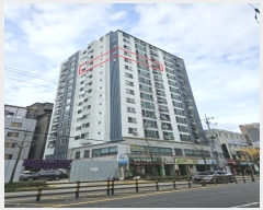  2024Ÿ��65500  ����Ʈ���