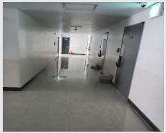  2024Ÿ66152 λ λ 38 81, 202005ȣ (, ޷)    ǽڰ