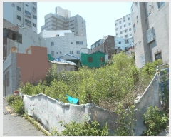  2024Ÿ��66183 �λ� �߱� ���ֵ� 718       ����(����)���