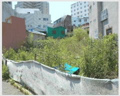  2024Ÿ��66183 �λ� �߱� ���ֵ� 718       ����(����)���