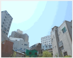  2024Ÿ��66183 �λ� �߱� ���ֵ� 718       ����(����)���