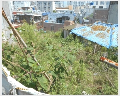  2024Ÿ��66183 �λ� �߱� ���ֵ� 718       ����(����)���