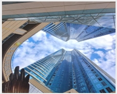  2024Ÿ��66978  �ܵ�(ȣ��)���