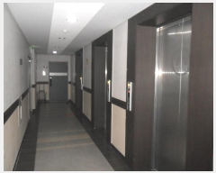  2024Ÿ67094 λ  ߾Ӵ1473 13, 101 161605ȣ (õ,ƽŸ)    Ʈ