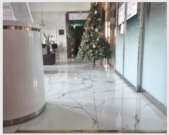  2024Ÿ��5720  �ٸ��󰡰��