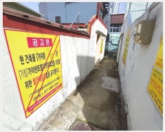  2024Ÿ��53262  �������