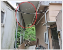  2024Ÿ60451 λ  嵿 272-7       ð