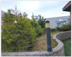  2024Ÿ63702 λ λ  255-1       ٸü,󰡰