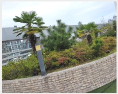  2024Ÿ63702 λ λ  255-1       ٸü,󰡰