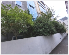  2024Ÿ63702 λ λ  255-1       ٸü,󰡰