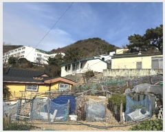  2024Ÿ��66305 �λ� �λ����� �ξϵ� ��50-21       ����(�Ӿ�)���