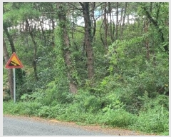  2024Ÿ��4376 �λ� ������ ���� ��4-2       ����(�Ӿ�)���