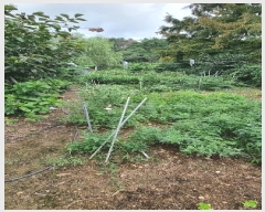  2024Ÿ��4376 �λ� ������ ���� ��4-2       ����(�Ӿ�)���