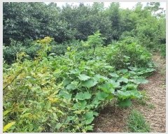  2024Ÿ��4376 �λ� ������ ���� ��4-2       ����(�Ӿ�)���