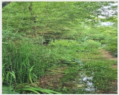  2024Ÿ��4376 �λ� ������ ���� ��4-2       ����(�Ӿ�)���