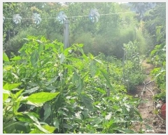  2024Ÿ��4376 �λ� ������ ���� ��4-2       ����(�Ӿ�)���