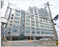  2024Ÿ5843 λ  77 12, 5501ȣ (ﵿ,Ŭ)     Ʈ