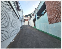  2024Ÿ��65449  ���ð��