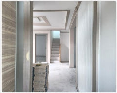  2024Ÿ��65449  ���ð��