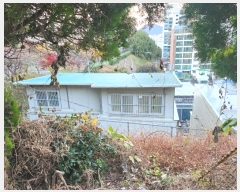  2024Ÿ��65449  ���ð��