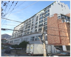  2024Ÿ66619 λ  տ54 21, 2204ȣ (,þ)     ǽڰ