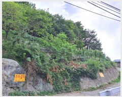  2024Ÿ3014 λ  굿 160-15       (Ӿ)