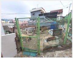  2024Ÿ66428 λ  Ʊ 16       ð