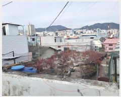  2024Ÿ66428 λ  Ʊ 16       ð