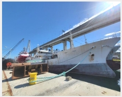  2024Ÿ��3717 �λ�          ���ڰ��