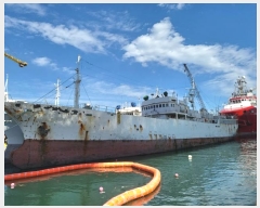  2024Ÿ��3717 �λ�          ���ڰ��