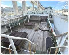  2024Ÿ��3717 �λ�          ���ڰ��