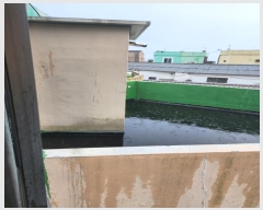  2024Ÿ��59130 �λ� ���� ���Ϸ� 51-2       �ܵ�����,�����ð��