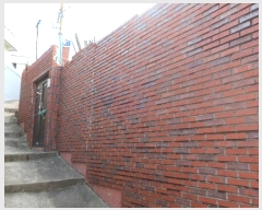  2024Ÿ��65524  �������