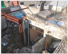  2024Ÿ��65524  �������