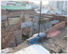  2024Ÿ��65524  �������