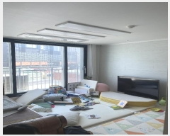  2024Ÿ1391 λ  384 17-14, 9903ȣ (ûе,ûе縮)     ǽڰ