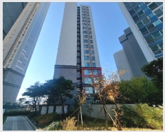  2024Ÿ6020 λ  ƽþƵ255 14, 104 5503ȣ (õ,ȿظ÷̽)    ǽڰ