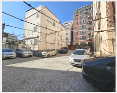  2024Ÿ��66916  �������